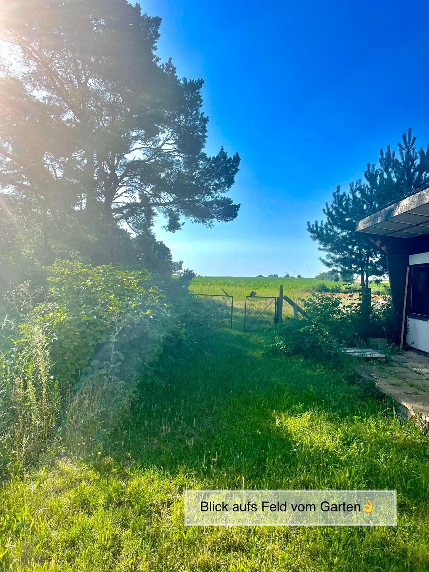 Modernes Ferienhaus Mit 3 Schlafzimmern In Der Naehe Vom Scharmuetzelsee ويندستش ريتز المظهر الخارجي الصورة